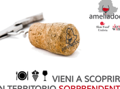 AMELIAdoc