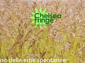 Progettare erbe ornamentali
