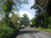 Strategie incrementare l’astensione sonetto Jena Camuna