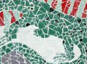 mostra "solare" chiude l'anno scolastico