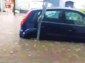 fine topi”. città allaga dopo temporale estivo