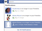 Unfriend Alert ruba credenziali