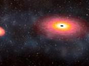 macronova lampo gamma