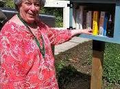 Little Free Library: cosa sono come costruiscono