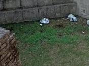 discarica farnesiana