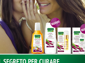 nuova linea capelli RAUSCH Amaranth REPAIR