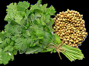 Detergente coriandolo: pelle tonica profumata