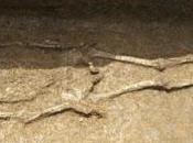 Trovata antichissima sepoltura Cina