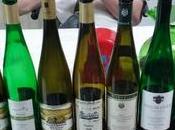 Riesling secondo “Mostro”