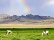 Visitare Mongolia: intervista Wanda
