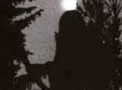 Avere vent’anni: giugno 1995