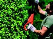 Pratico senza filo nuovo tagliasiepi BLACK+DECKER