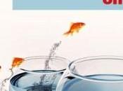 Washington Post apre freelance