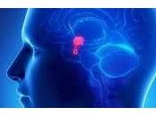 ghiandola pineale, ovvero terzo occhio