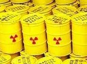 Nucleare perchè l'Italia vuole?