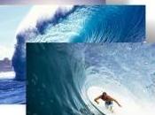 Temi ufficiali Windows inerenti mare: surfing sailing