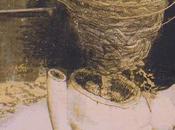 GENITAL WARTS, Parappaio