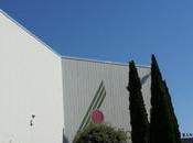 Concorsone Rai, onda casting giornalisti