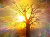 Psicopittografia, tecnica transfert