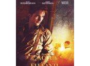 Come l’acqua elefanti