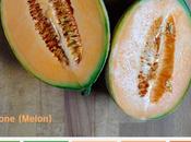 Food&amp;Colors: Melone