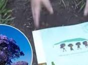 libro alla pianta: leggere crescere!