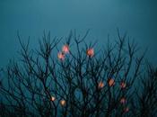 FOTOGRAFIA: L'intervista Emanuele Camerini