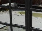 PAVIA. bambini piccoli autori danno. Sconcerto sindaco Depaoli