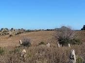 Archeologia Sardegna. giorni menhir Sarrabus.