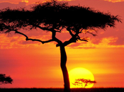 Kenya, viaggio spiagge belle natura selvaggia della savana