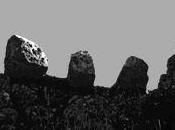 “marchio falsità”