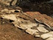 longhouse vichinga centro Reykjavik