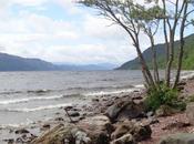 succede borse crollano anche Cina?