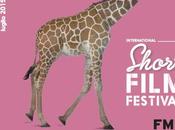 International Short Film Festival 2015: shorts better