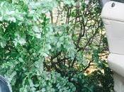 RIFLESSIONI disagio dissidio arrivare disastro