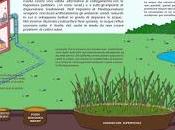 Consorzi Bonifica rappresentano centralità territorio dell’agricoltura.