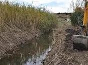 avvisi pagamento consorzi bonifica pagati solo beneficio