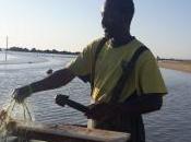 Papi arriva Senegal: stivali t-shirt porta soldi casa all’alba ogni giorno