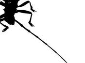 MAKHNO, Third Season