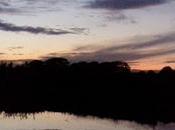 Battlesteads: cielo, stelle buon cibo Northumberland