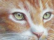 Ritratto Bacchus, fantastico gatto arancio!