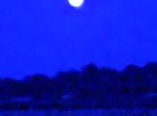 Tristezza della luna