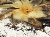 Frolla alle mandorle, cioccolato pere