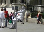 cane molto particolare