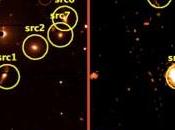 gruppo davvero attivo