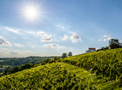 Austria viaggio Burgenland: uva, mele bellezza