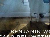 Aria Libri Caso Bellwether Benjamin Wood