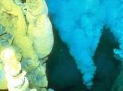 Acqua ossigenata sorgente vita