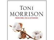 Amatissima Toni Morrison