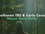 Beethoven Carlo Cavalli House 4eva Baby!